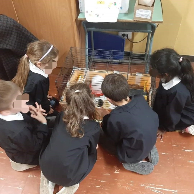 Bambini allevatori alla scuola primaria Pascoli