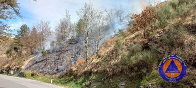 Incendio boschivo al passo della Forcella