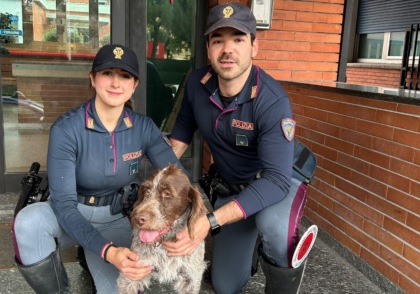 Cane in autostrada sul Viadotto San Giorgio: salvato dalla Polizia Stradale