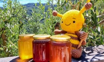 Mielerie aperte, alla scoperta dei segreti del miele italiano