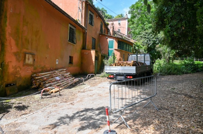 Paraggi, uomo di 50 anni perde la vita mentre scarica legna dal camion