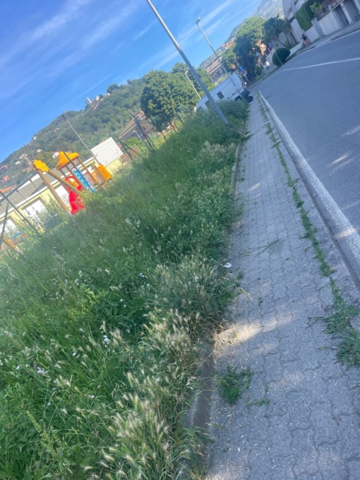 Giardini Fele nel degrado, interrogazione di Silvia Garibaldi