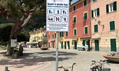 Sestri, a Riva Trigoso spuntano i cartelli: “Vietato arrampicarsi sugli alberi”