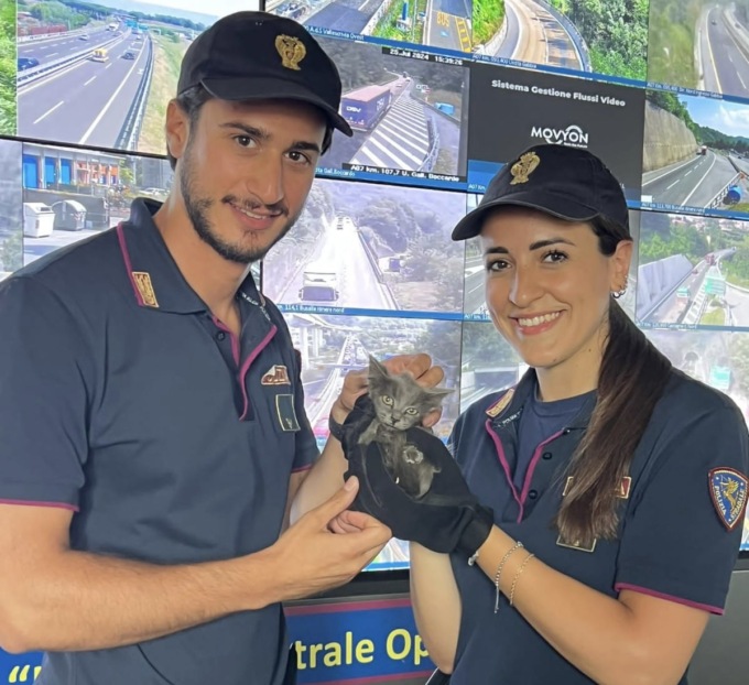 Gattino abbandonato sulla A12 salvato dalla Polizia