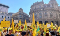 Cinghiali, agricoltori in piazza a Genova per un piano straordinario