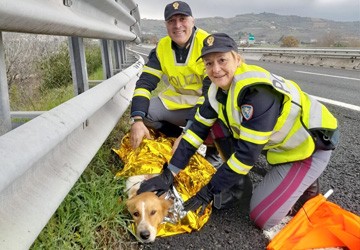 Se non ti porto, non parto: il nuovo spot della Polizia contro l’abbandono di animali