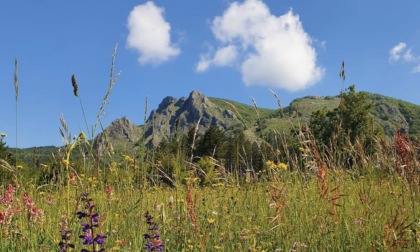 Weekend ricco di eventi nelle Valli del Parco dell'Aveto