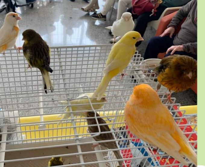 Due giornate con anziani e diversamente abili alla scoperta del mondo degli uccelli