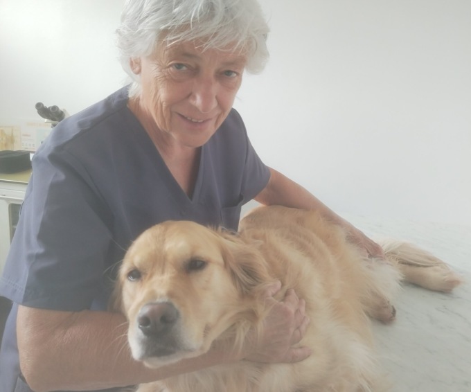 26 agosto Giornata Internazionale del cane: 4 liguri su 10 ne hanno uno