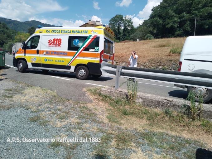 Temossi, ragazza in moto urta contro un cavallo in mezzo alla strada