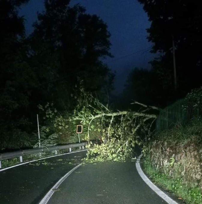 Riaperta la strada statale 586 della Val d’Aveto interrotta per la caduta di un albero