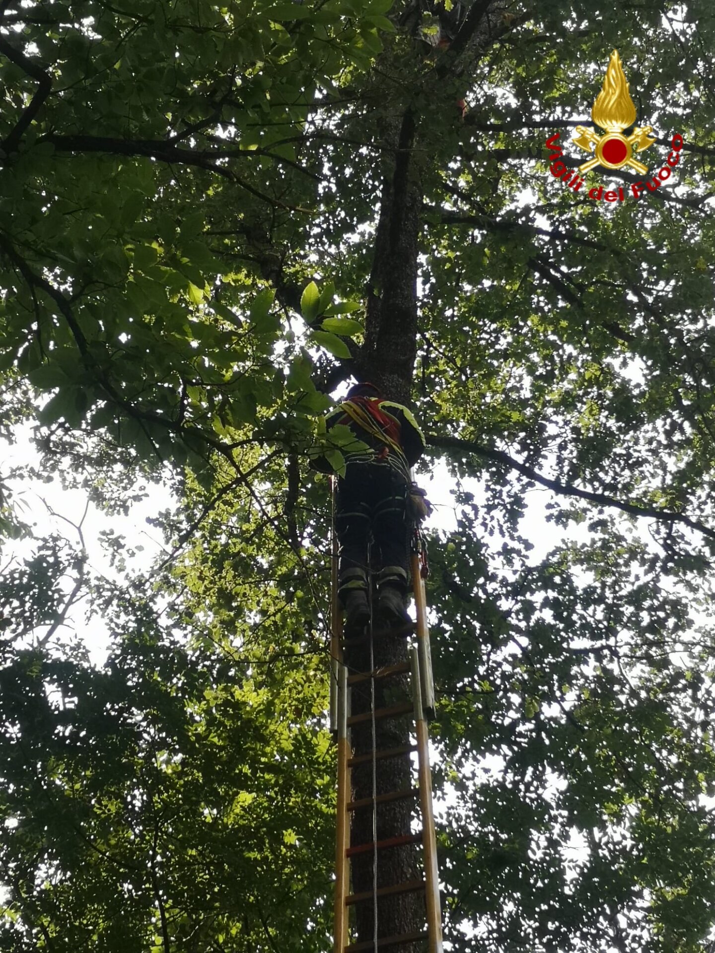 vigili fuoco soccorsa pilota parapendio