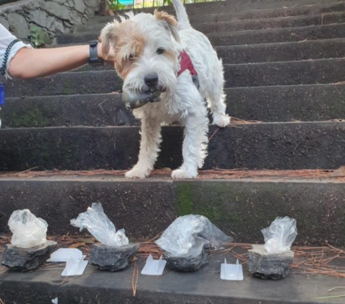 Coppia di spacciatori arrestata a Rapallo