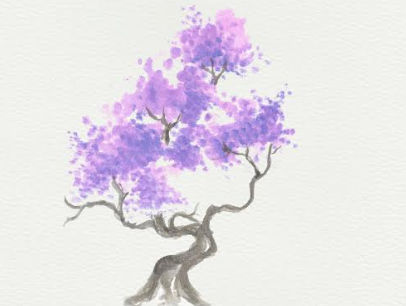 A Recco bonsai in mostra nel weekend in sala polivalente