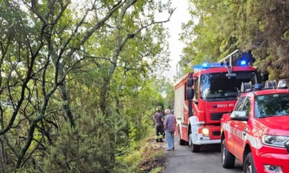 Auto finisce in una scarpata, per il conducente nulla di grave