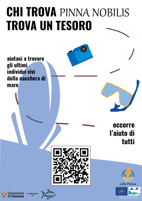 Manifesto “Chi trova Pinna nobilis trova un tesoro!” firmato da due studenti di Pieve Ligure