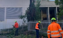 Recco, tagliato un pioppo pericolante in via San Giovanni Battista