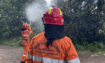 Torna a Sestri Levante "Protezione Civile in festa"