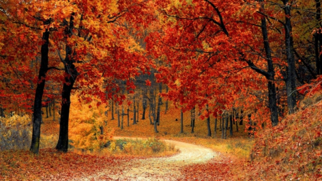 Domenica 13 ottobre, gli appuntamenti della giornata