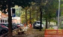 Recco, partiti i lavori per la palestra a cielo aperto