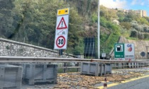 Kiwi dispersi in autostrada