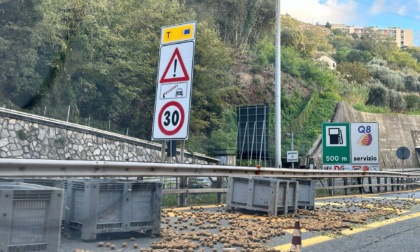 Kiwi dispersi in autostrada