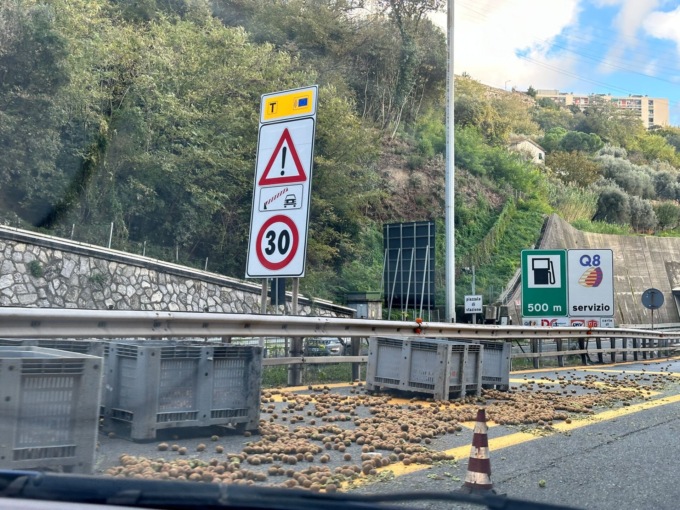 Kiwi dispersi in autostrada