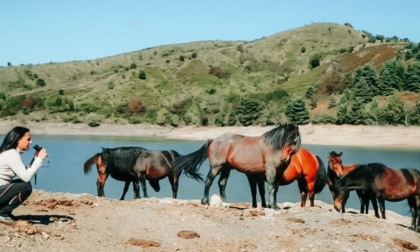 I prossimi eventi nelle valli del Parco dell'Aveto e in Val Graveglia