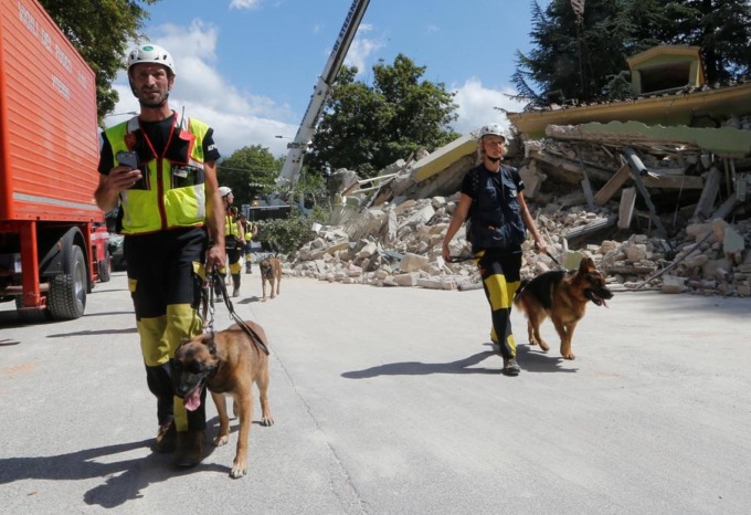 Rapallo, l’evento “Working Dogs” al chiosco della musica