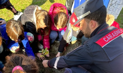 Sestri Levante celebra nelle scuole la Giornata nazionale dell'albero