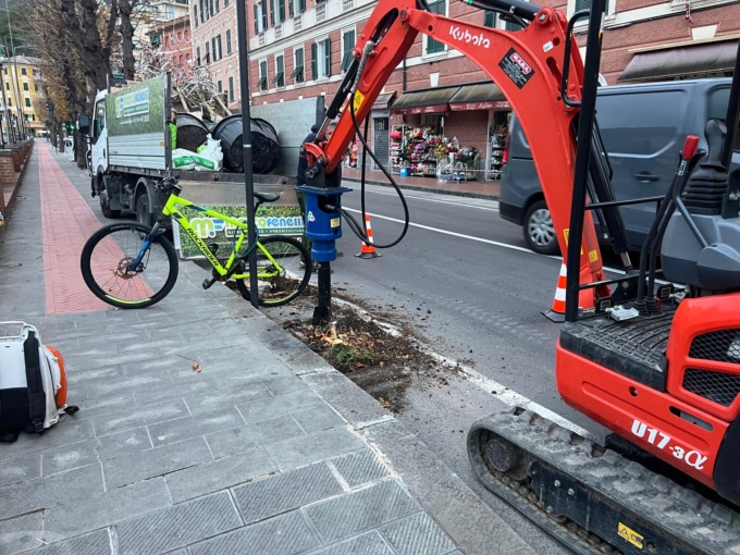 Recco, in corso di ricostruzione il filare di alberi in via Roma