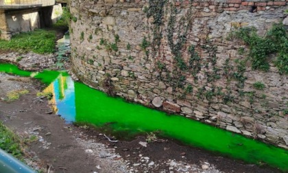 Liquido verde nel torrente Fravega: il Comune tranquillizza i cittadini