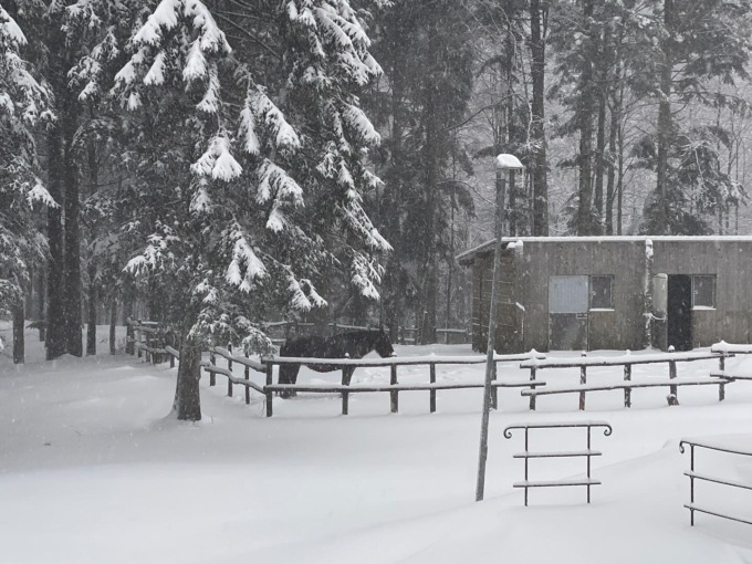 Le previsioni meteo per le prossime ore
