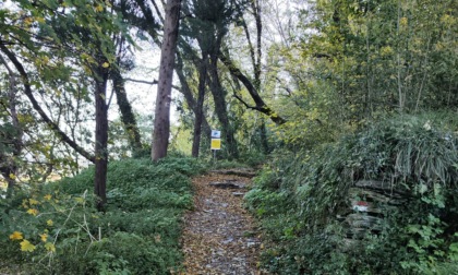 Sestri, lavori in corso sui sentieri di Sant'Anna e Punta Manara