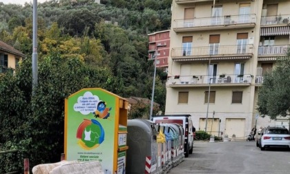 Abbandono di rifiuti ingombranti, 250 euro di multa