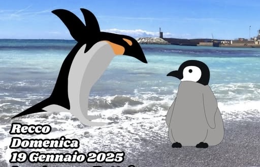 Recco, arriva il cimento invernale: una sfida alle rigide temperature del mare