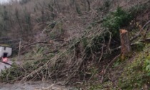 Leivi: transito interrotto sulla strada Scaruglia - Cogozzale - Maggi