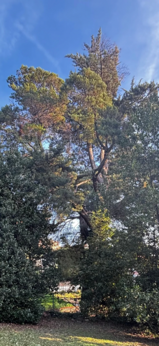 «No al cemento al Parco Casale», manifestazione di protesta in arrivo