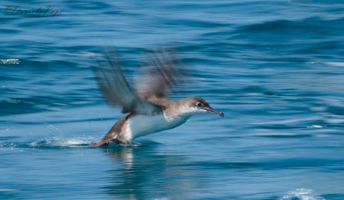 “Dalla terra al mare”, nuovo appuntamento della rassegna “Uomini e Navi”