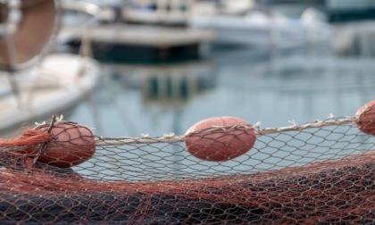 Pesca e acquacoltura: 450.000 euro per sostenere competitività e sicurezza