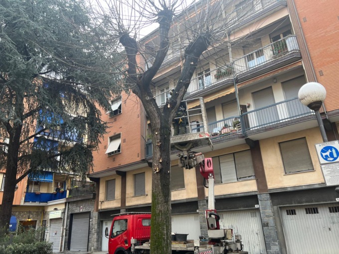 Potature a Recco, lavori in corso