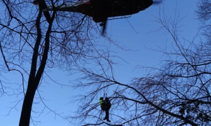 Monte Portofino, donna cade in un burrone