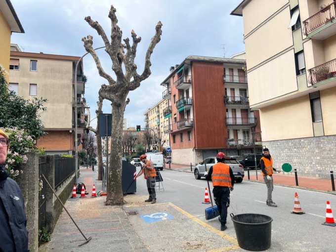 Potature alberi a Recco, al via il cantiere in via Pisa