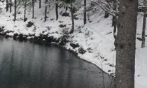 Escursione nella Foresta delle Lame domenica 16 febbraio