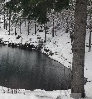 Escursione nella Foresta delle Lame domenica 16 febbraio