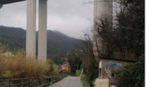 Lavori al viadotto Vallegrande, modifiche alla viabilità a Casarza