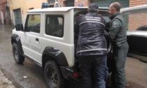 Borzonasca, salvato capriolo a spasso nel centro storico