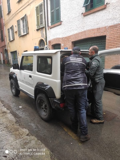 Borzonasca, salvato capriolo a spasso nel centro storico
