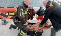 Capriolo bloccato da giorni sulla scogliera: tratto in salvo da Vigili del Fuoco