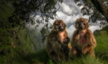 Il fotografo Marco Gianotti in esposizione a Camogli